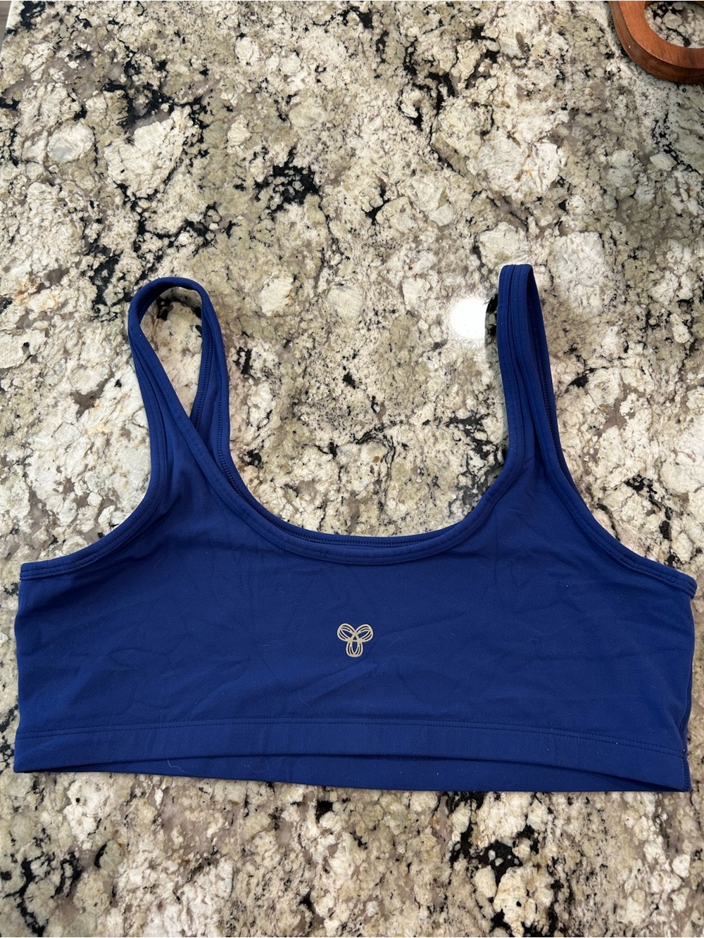 Aritzia Deep Blue Scoop Bralette